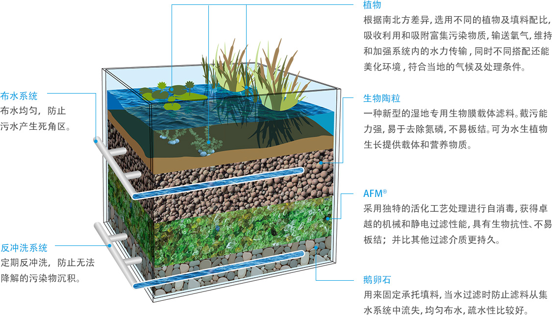 摇钱树娱乐海绵城市湿地