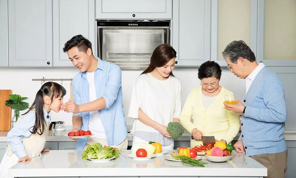 摇钱树娱乐产品分享—森薇食品垃圾垃圾处置器