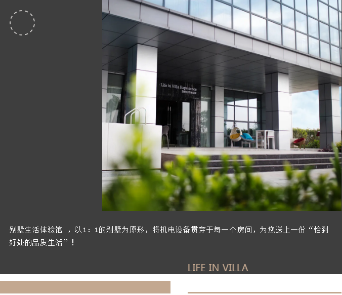 摇钱树娱乐别墅生涯