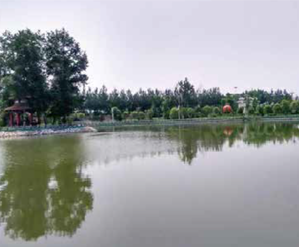 人为湖,人为湖治理