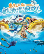 <b>【摇钱树娱乐浮潜案例赏析】让国人在浮潜履历馆中畅享深海之旅！</b>