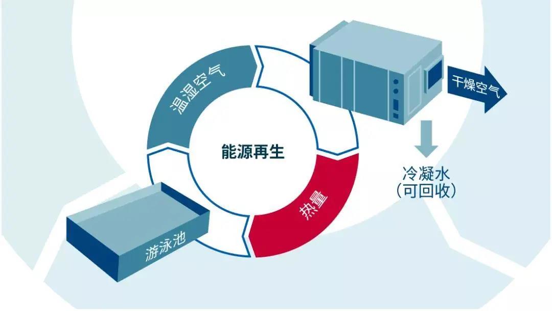低氯游泳馆,无氯游泳池,低屡拙池，低氯系统