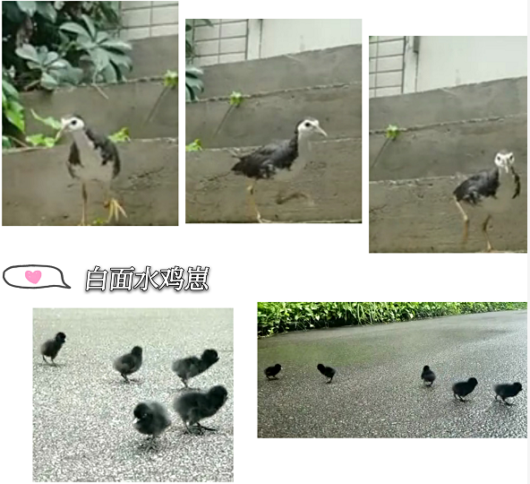 摇钱树娱乐科技园区到底有多