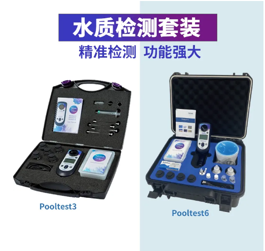 摇钱树娱乐集团