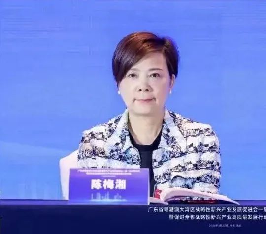 摇钱树娱乐陈梅湘董事长当选大湾区战新会副会长