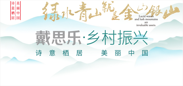 村落振兴战术蕴含哪五个创新蹊径？