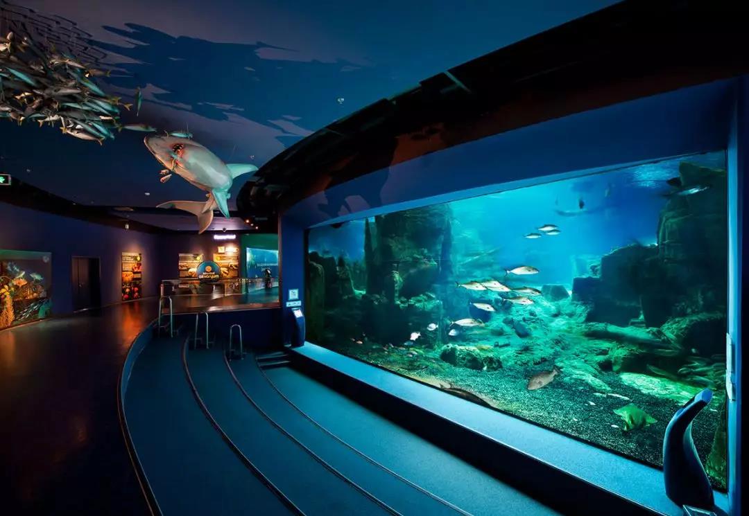 水族馆水处置设备